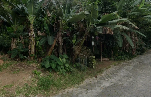 Terreno em Carvoeira, Florianópolis