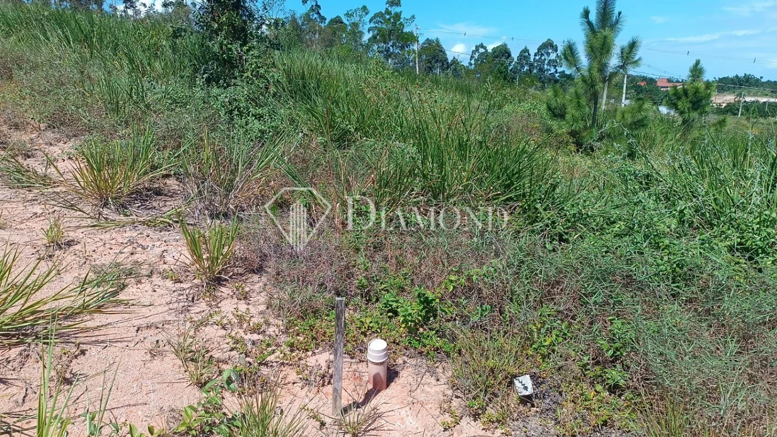 Terreno em Nova Governador, Governador Celso Ramos