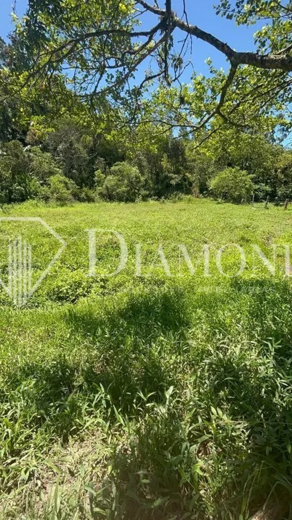 Terreno em Areias De Baixo, Governador Celso Ramos