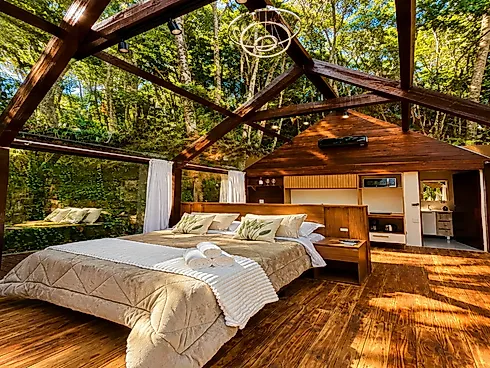 Sítio Exclusivo com 15.000M² à Venda em Águas Mornas, Grande Florianópolis - Sítio em Fazenda Sacramento, Águas Mornas - Foto 4