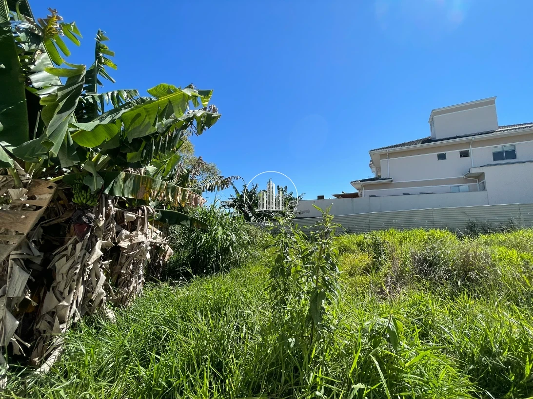 Terreno em Pedra Branca, Palhoça. 0 quartos, 0m². Imagem 5 de 15