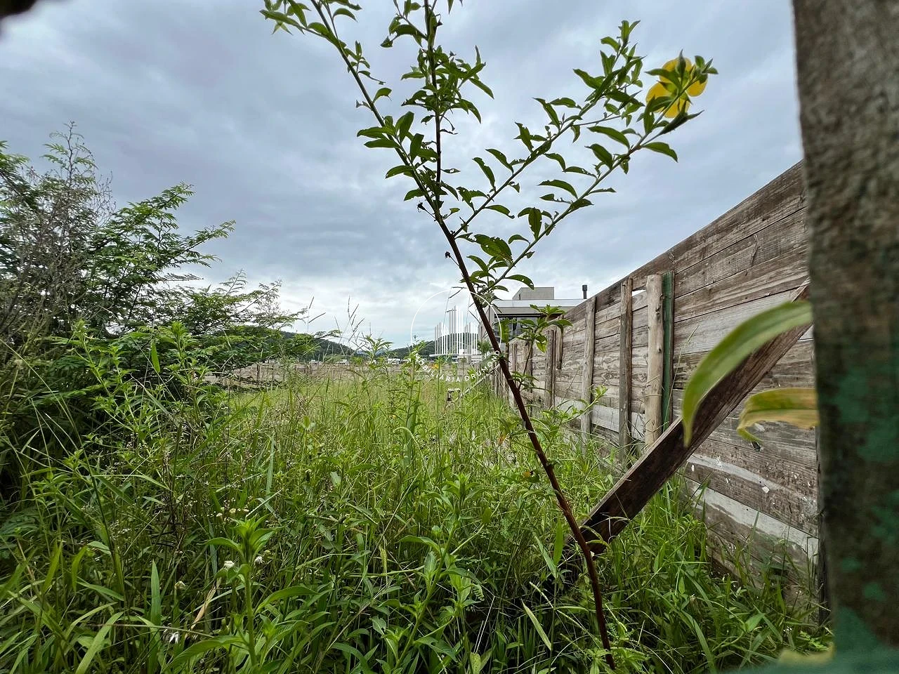 Terreno em Pedra Branca, Palhoça. 0 quartos, 0m². Imagem 10 de 10