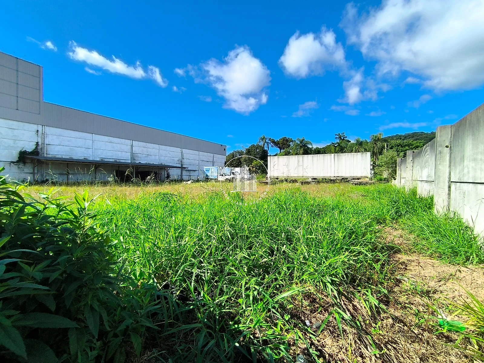 Terreno em Ipiranga, São José. 0 quartos, 0m². Imagem 9 de 10