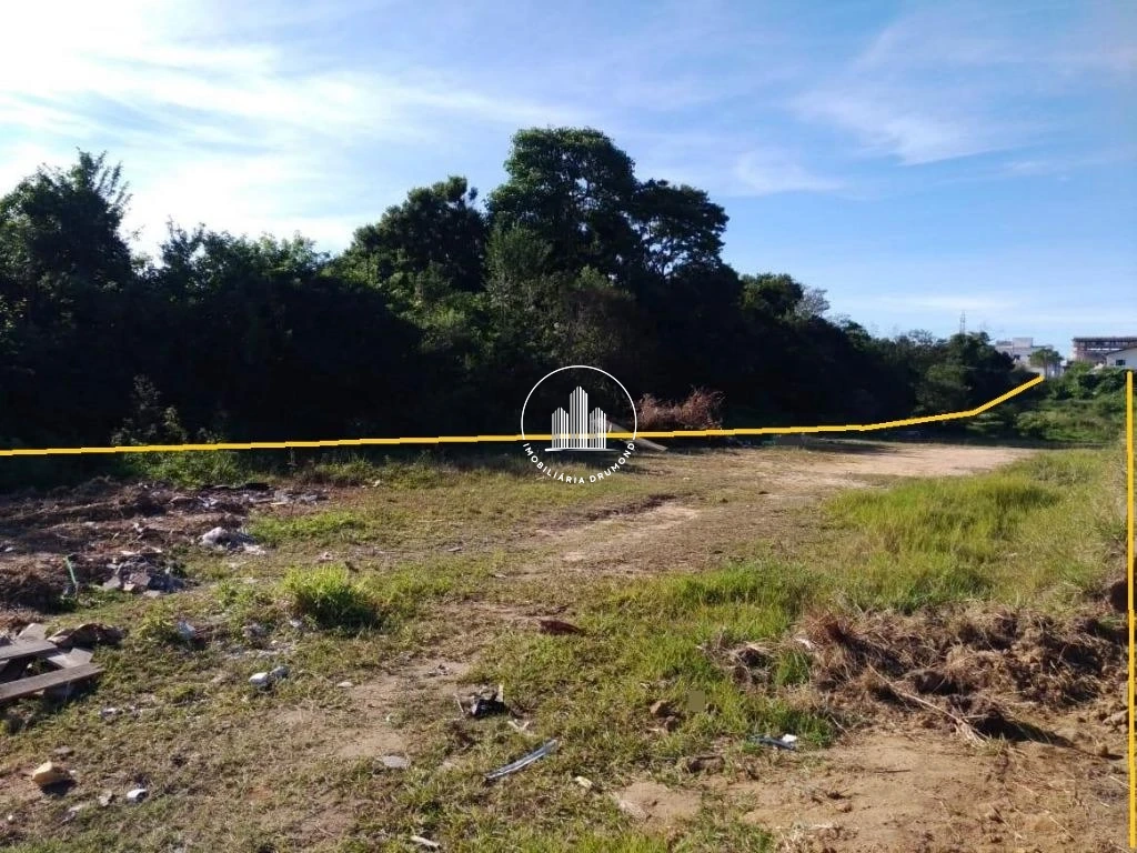 Terreno em Ipiranga, São José. 0 quartos, 0m². Imagem 2 de 9