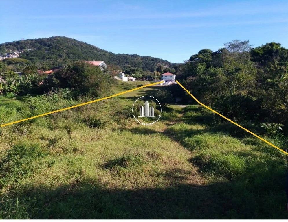 Terreno em Ipiranga, São José. 0 quartos, 0m². Imagem 8 de 9