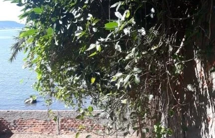 Terreno em Centro, São José