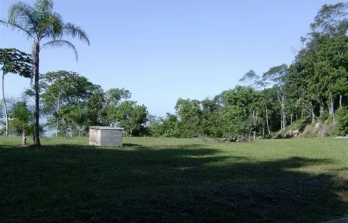 Terreno em Ponta de Baixo, São José
