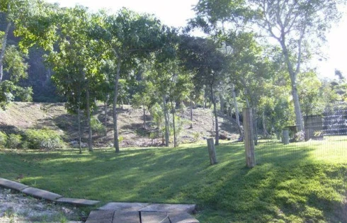 Terreno em Ponta de Baixo, São José