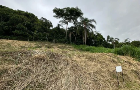 Terreno em Ponta de Baixo, São José