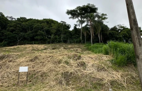 Terreno em Ponta de Baixo, São José