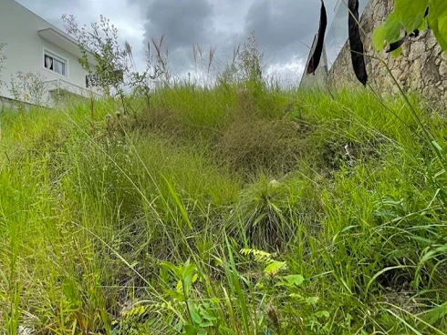 Terreno com 0 quartos em Pedra Branca, Palhoça