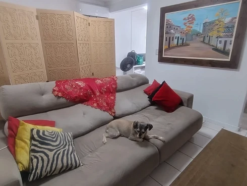 Apartamento em Coloninha, Florianópolis