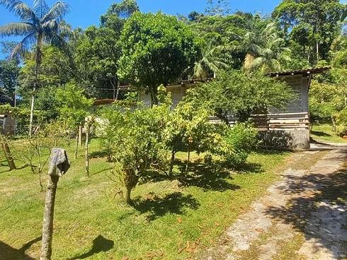 Sítio em Área Rural de Biguaçu, Biguaçu