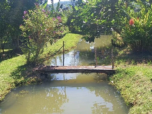 Área Rural de Biguaçu, Biguaçu