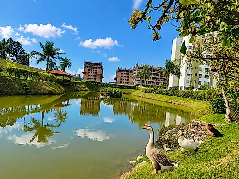 Apartamento Mobiliado 2 Quartos  - Pedra Branca - Foto 17