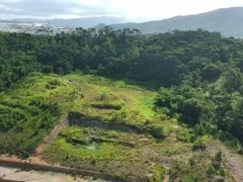 Estiva (guaporanga), Biguaçu