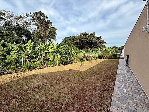 Thumbnail 37