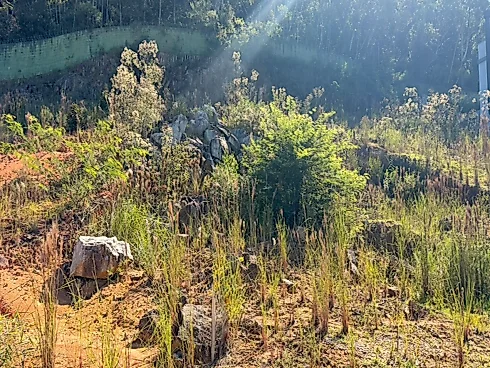 Terreno em Forquilhas, São José