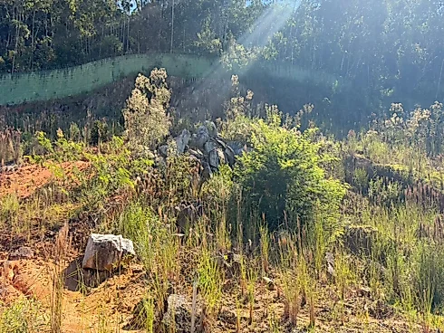 Terreno em Forquilhas, São José