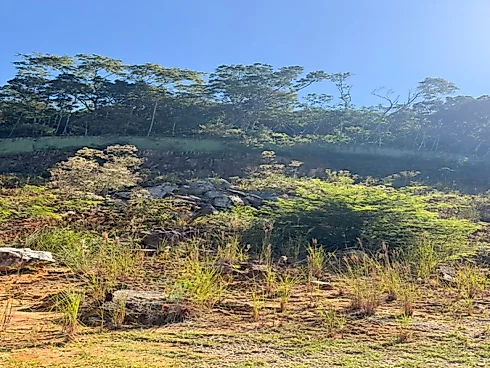 Terreno em Forquilhas, São José