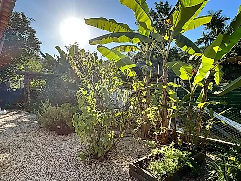 Chácara 1250m² - Três Riachos - Biguaçu - Chácara em Três Riachos, Biguaçu - Foto 2