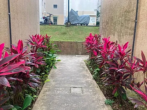 Thumbnail 14