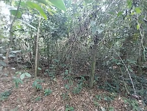 Thumbnail 29