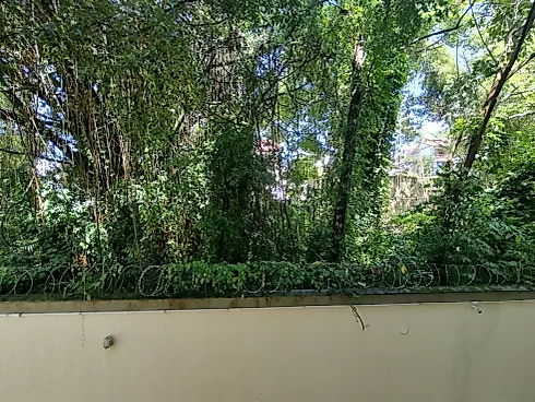 Apartamento 2 Quartos com 1 Suíte - Coqueiros - Apartamento em Coqueiros, Florianópolis - Foto 5