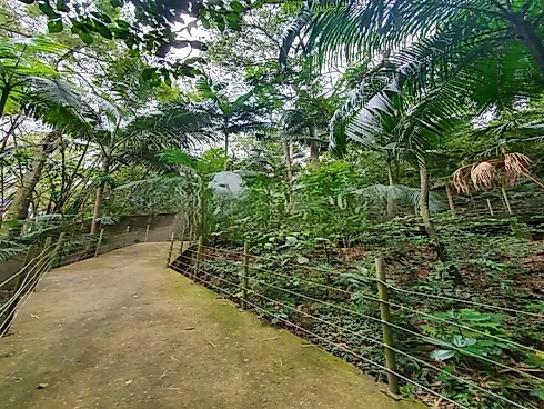 Apartamento 2 Quartos com 1 Suíte - Coqueiros - Foto 29