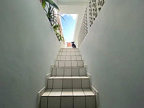 Casa 4 Quartos com 2 Suítes e 200m² - Barreiros - Foto 30