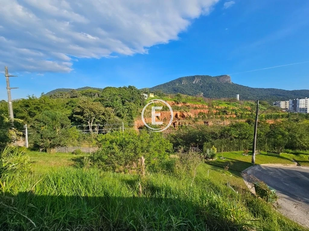 Terreno em Pedra Branca, Palhoça. 0 quartos, 369m². Imagem 13 de 33