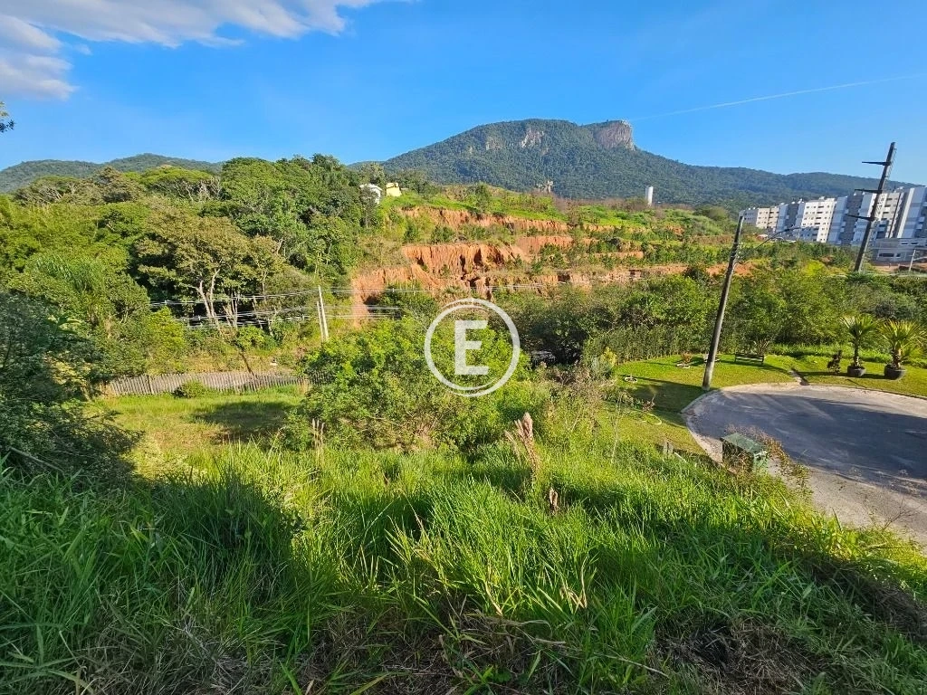 Terreno em Pedra Branca, Palhoça. 0 quartos, 369m². Imagem 14 de 33