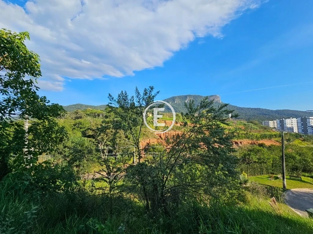 Terreno em Pedra Branca, Palhoça. 0 quartos, 369m². Imagem 15 de 33