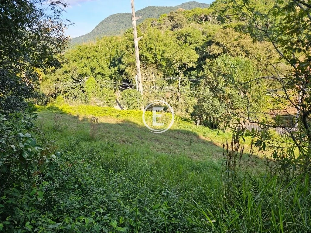 Terreno em Pedra Branca, Palhoça. 0 quartos, 369m². Imagem 27 de 33