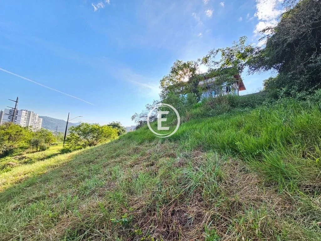 Terreno em Pedra Branca, Palhoça. 0 quartos, 369m². Imagem 9 de 33