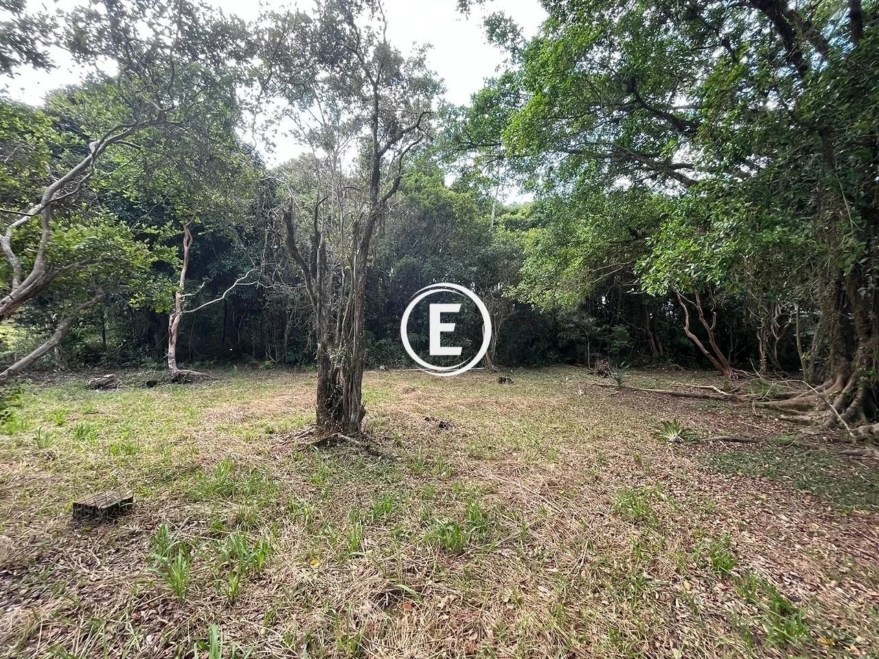 Sítio em Três Barras, Palhoça. 2 quartos, 0m². Imagem 14 de 15