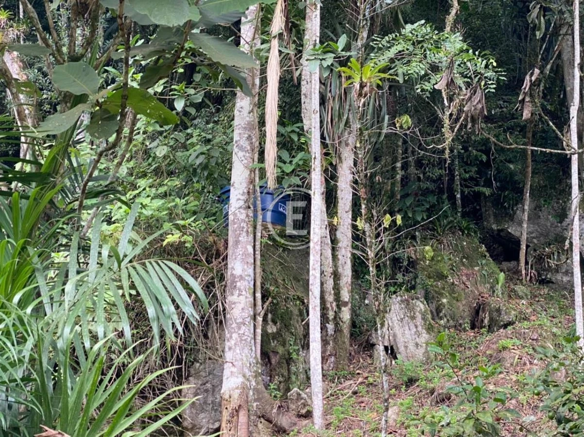 Sítio em Calemba, Santo Amaro da Imperatriz. 2 quartos, 190m². Imagem 15 de 20