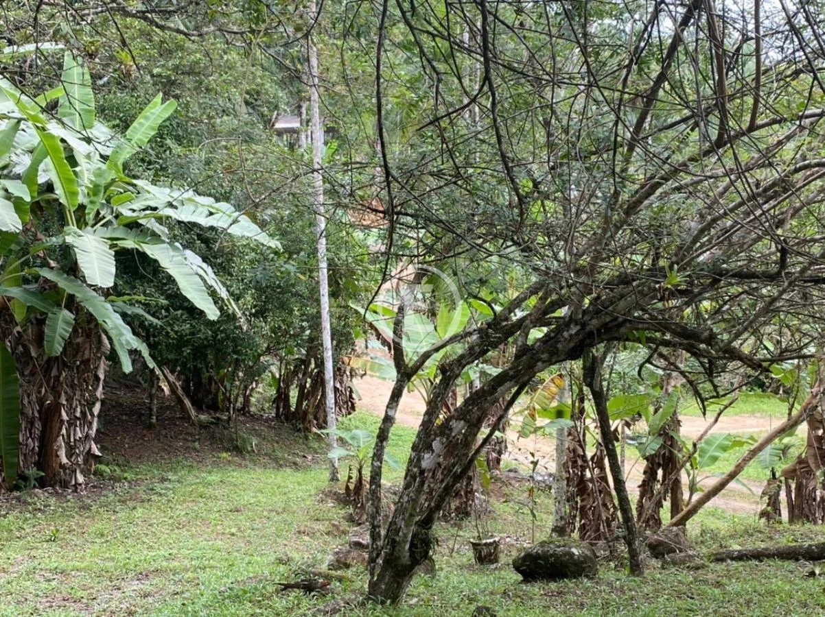 Sítio em Calemba, Santo Amaro da Imperatriz. 2 quartos, 190m². Imagem 16 de 20