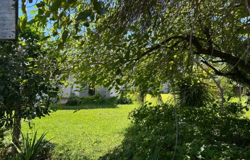 Pagani, Palhoça