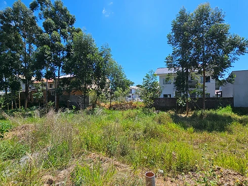 Terreno em Bela Vista, Palhoça