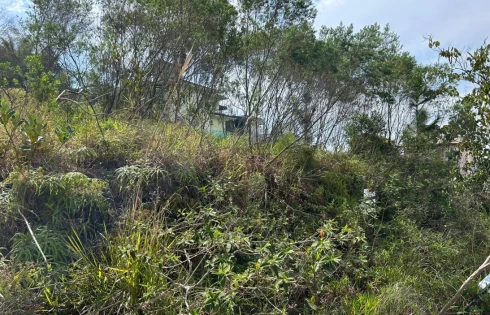 Terreno em Pedra Branca, Palhoça