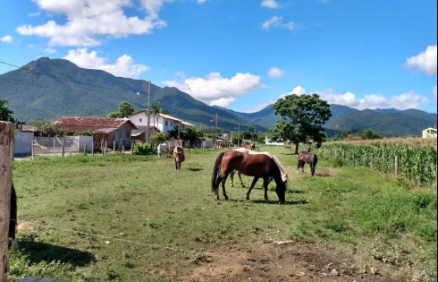Terreno em Guarda do Cubatão, Palhoça