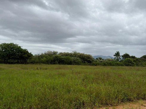 Sul do Rio, Santo Amaro da Imperatriz