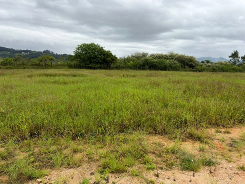 Terreno em Sul do Rio, Santo Amaro da Imperatriz