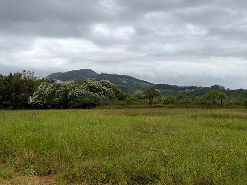 Terreno em Sul do Rio, Santo Amaro da Imperatriz