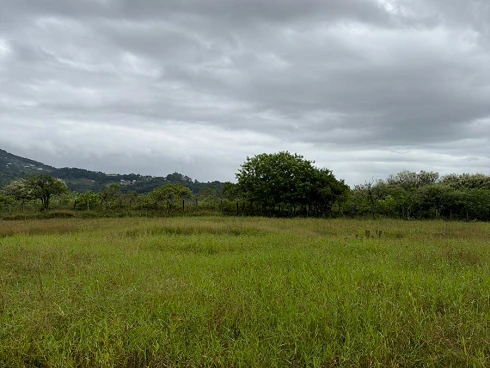 Terreno em Sul do Rio, Santo Amaro da Imperatriz