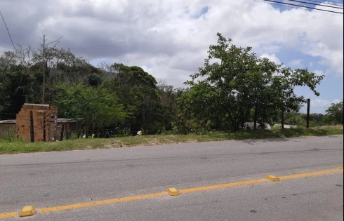 Terreno em Forquilhas, São José