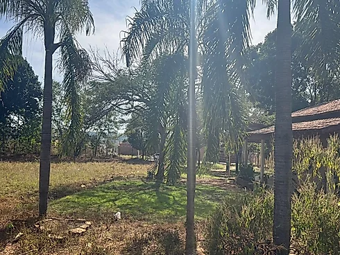 Vende-SE Chácara  de 5000 m2 a Venda em Abadia de Goiânia - Foto 7