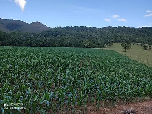 Vende-se Fazenda em Rio Quente/GO - Fazenda, Rio Quente - Foto 2