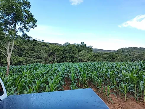 Vende-se Fazenda em Rio Quente/GO - Fazenda, Rio Quente - Foto 4